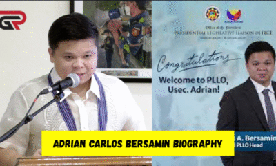adrian carlos bersamin biography