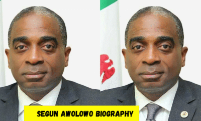 segun awolowo biography